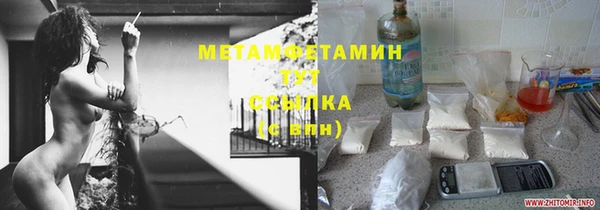 ПСИЛОЦИБИНОВЫЕ ГРИБЫ Гусь-Хрустальный