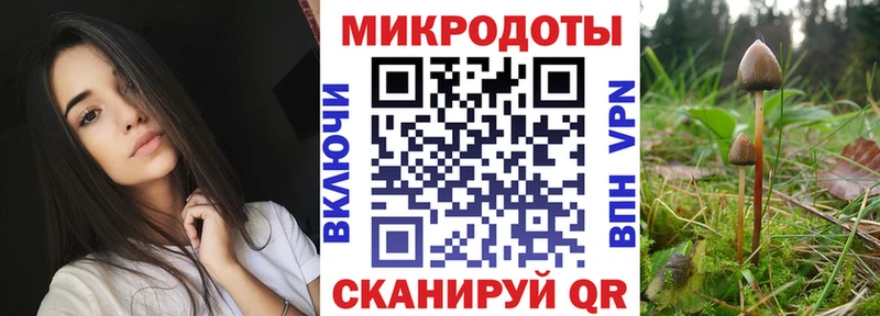 Галлюциногенные грибы Psilocybine cubensis Ковдор